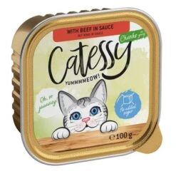 Catessy En Tarrinas 64 X 100 G - Pack Mixto -Productos Para Gatos catessy chunks beefinsauce 100g 1000x1000 2
