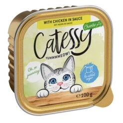 Catessy En Tarrinas 64 X 100 G - Pack Mixto -Productos Para Gatos catessy chunks chickeninsouce 100g 1000x1000 9