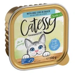 Catessy En Tarrinas 64 X 100 G - Pack Mixto -Productos Para Gatos catessy chunks codinsauce 100g 1000x1000 0