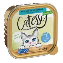 Catessy En Tarrinas 64 X 100 G - Pack Mixto -Productos Para Gatos catessy chunks saitheinsauce 100g 1000x1000 8
