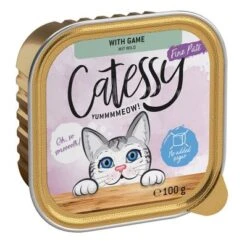 Catessy En Tarrinas 64 X 100 G - Pack Mixto -Productos Para Gatos catessy finepate game 100g 1000x1000 2