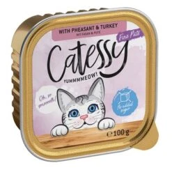 Catessy En Tarrinas 64 X 100 G - Pack Mixto -Productos Para Gatos catessy finepate pheasant turkey 100g 1000x1000 0
