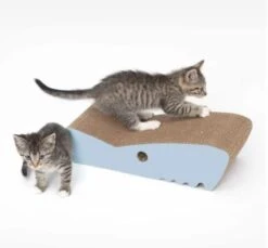 Catit Zoo Rascador Tiburón -Productos Para Gatos catit shark scratcher 64a9d7a78a54e