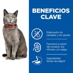 Hill's Hill’s Science Plan Mature Adult 7+ Pollo Pienso Para Gatos -Productos Para Gatos comida gato hills mature no grain HIL605369 M JN23202