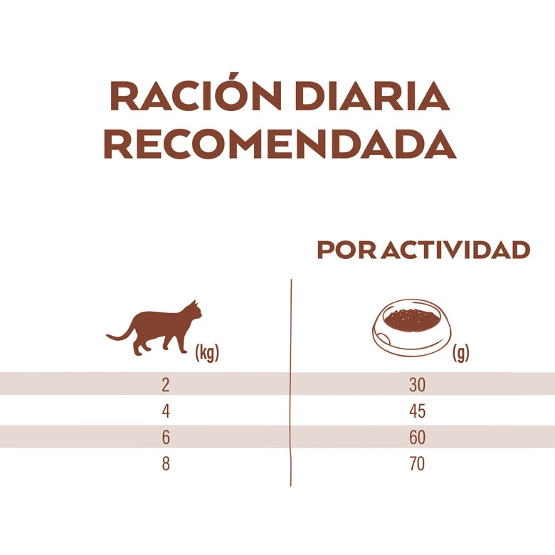 Nature's Variety Adult Sterilised Selected Salmón Noruego Pienso Para Gatos 9 Nature's Variety Adult Sterilised Selected Salmón Noruego Pienso Para Gatos - Imagen 9