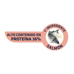 Affinity Advance Sensitive Adult Salmón Y Arroz Pienso Para Gatos 7 Affinity Advance Sensitive Adult Salmón Y Arroz Pienso Para Gatos -Productos Para Gatos comida gatos advance affinity adult salmon arroz 52059 M 1
