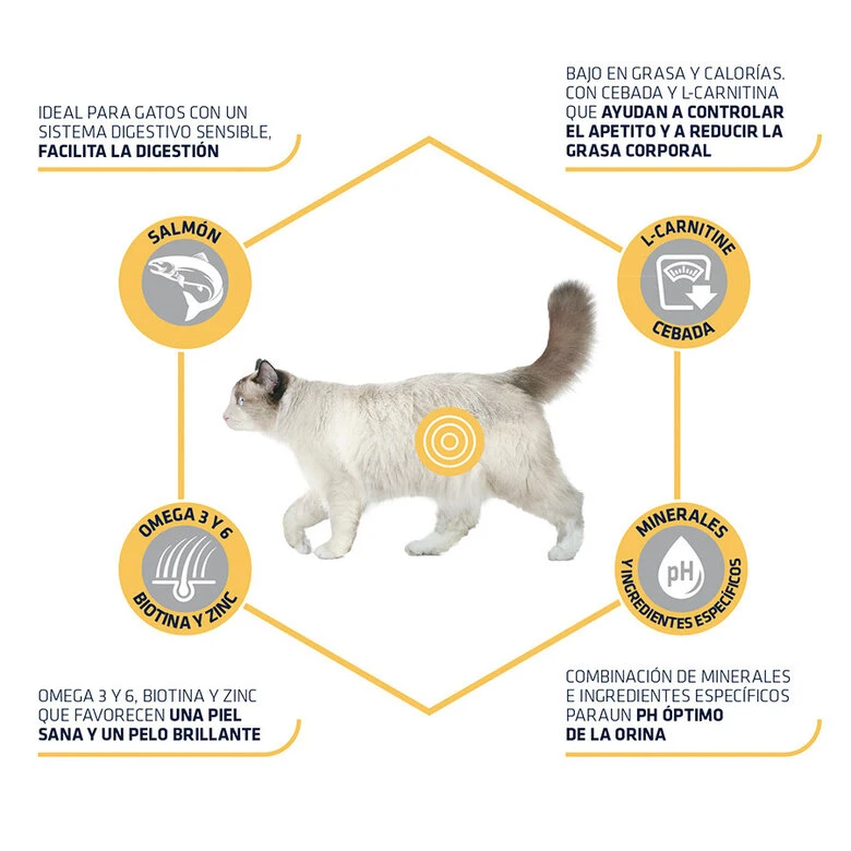Affinity Advance Sensitive Sterilized Salmón Y Cebada Pienso Para Gatos 3 Affinity Advance Sensitive Sterilized Salmón Y Cebada Pienso Para Gatos - Imagen 3