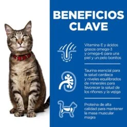 Hill's Science Plan Light Adult Pollo Pienso Para Gatos -Productos Para Gatos comida gatos hills adult light pollo newpack HIL7520DA M 1204