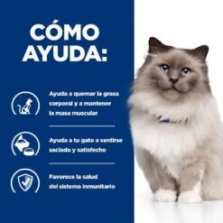 Hill's Prescription Diet Weight Loss Pollo Pienso R/d Para Gatos -Productos Para Gatos comida gatos hills prescription diet weight reduction rd TRANS pollo HIL4318M M JN23203