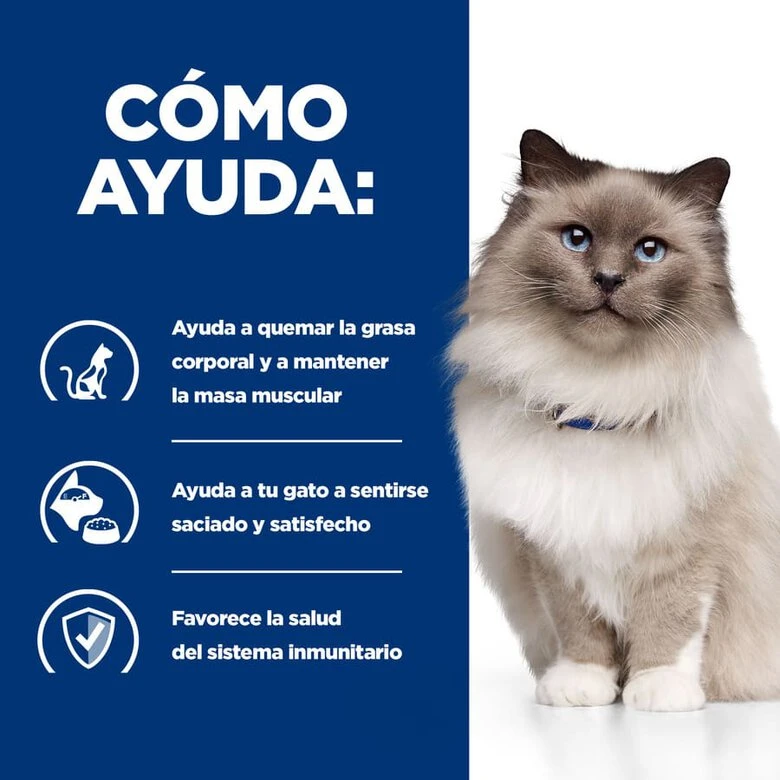 Hill's Prescription Diet Weight Loss Pollo Pienso R/d Para Gatos - Imagen 3