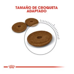 Royal Canin Adult Digestive Pienso Para Gatos -Productos Para Gatos comida gatos royal canin adullt digestive care ROY317012 M 5