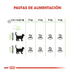 Royal Canin Adult Digestive Pienso Para Gatos -Productos Para Gatos comida gatos royal canin adullt digestive care ROY317012 M 8