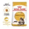 Royal Canin Adult Maine Coon Pienso Para Gatos