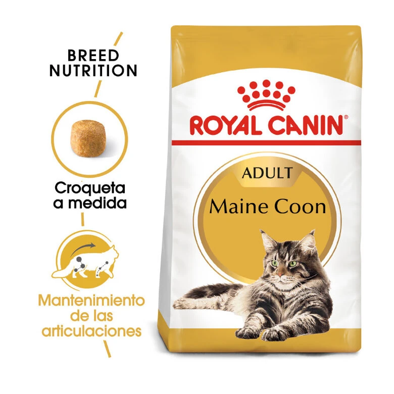 Royal Canin Adult Maine Coon Pienso Para Gatos 1 Royal Canin Adult Maine Coon Pienso Para Gatos