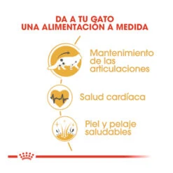 Royal Canin Adult Maine Coon Pienso Para Gatos 9 Royal Canin Adult Maine Coon Pienso Para Gatos -Productos Para Gatos comida gatos royal canin adult maine coon ROY309338 M 3