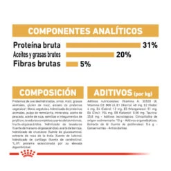 Royal Canin Adult Maine Coon Pienso Para Gatos 12 Royal Canin Adult Maine Coon Pienso Para Gatos -Productos Para Gatos comida gatos royal canin adult maine coon ROY309338 M 7