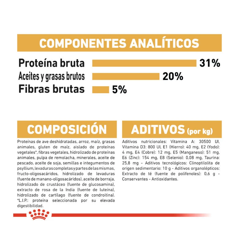 Royal Canin Adult Maine Coon Pienso Para Gatos 6 Royal Canin Adult Maine Coon Pienso Para Gatos - Imagen 6