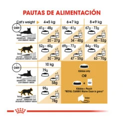 Royal Canin Adult Maine Coon Pienso Para Gatos 13 Royal Canin Adult Maine Coon Pienso Para Gatos -Productos Para Gatos comida gatos royal canin adult maine coon ROY309338 M 8