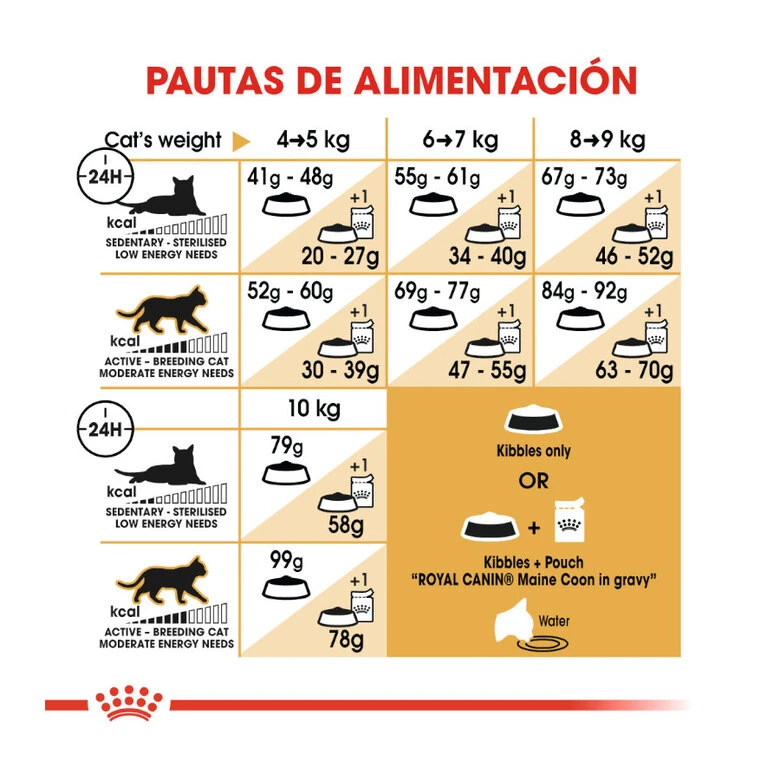 Royal Canin Adult Maine Coon Pienso Para Gatos 7 Royal Canin Adult Maine Coon Pienso Para Gatos - Imagen 7