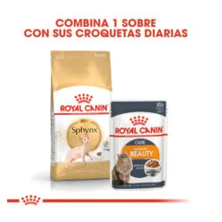 Royal Canin Adult Sphynx Pienso Para Gatos -Productos Para Gatos comida gatos royal canin adult sphynx ROY307028 M 3