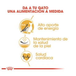 Royal Canin Adult Sphynx Pienso Para Gatos -Productos Para Gatos comida gatos royal canin adult sphynx ROY307028 M 6