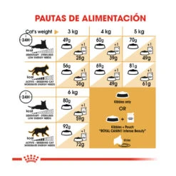 Royal Canin Adult Sphynx Pienso Para Gatos -Productos Para Gatos comida gatos royal canin adult sphynx ROY307028 M 8