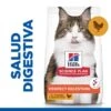 Hill's Hill’s Science Plan Perfect Digestion Adult Pollo Pienso Para Gatos