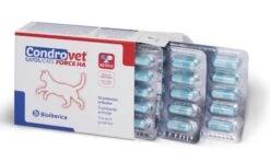Condrovet Force HA Gatos Condroprotector Articular