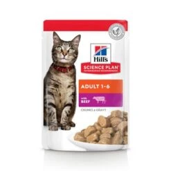 Hill's Science Plan Hill's Adult Para Gatos -Productos Para Gatos es cat adult beef pouch ongoing front packaging 1