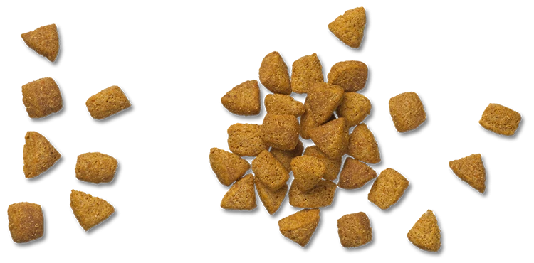 UR Urinary ST/OX 11 UR Urinary ST/OX - Imagen 11