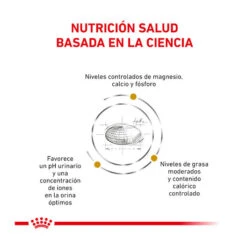 Royal Canin Veterinary Urinary Moderate Calorie Pienso Para Gatos 11 Royal Canin Veterinary Urinary Moderate Calorie Pienso Para Gatos -Productos Para Gatos gatos rc vet urinary s o mc ROY490026 M 3