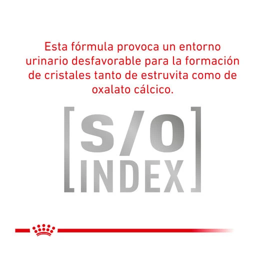 Royal Canin Veterinary Urinary Moderate Calorie Pienso Para Gatos 6 Royal Canin Veterinary Urinary Moderate Calorie Pienso Para Gatos - Imagen 6
