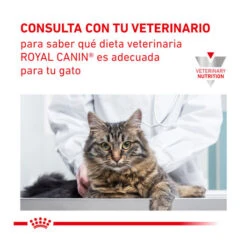 Royal Canin Veterinary Urinary Moderate Calorie Pienso Para Gatos 17 Royal Canin Veterinary Urinary Moderate Calorie Pienso Para Gatos -Productos Para Gatos gatos rc vet urinary s o mc ROY490026 M 9