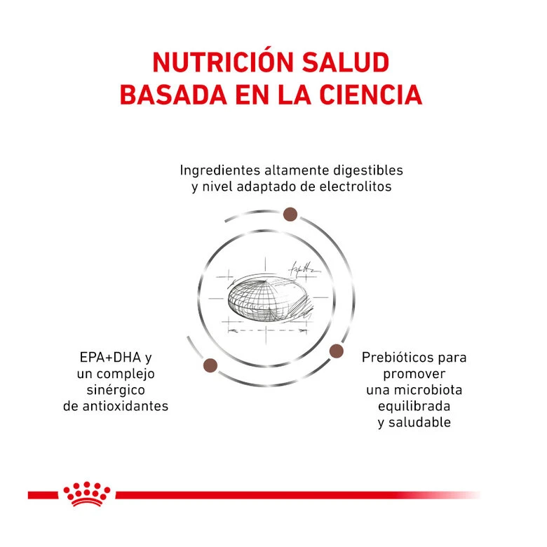 Royal Canin Veterinary Gastrointestinal Moderate Calorie Pienso Para Gatos 3 Royal Canin Veterinary Gastrointestinal Moderate Calorie Pienso Para Gatos - Imagen 3