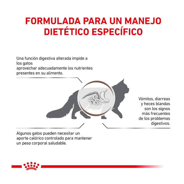 Royal Canin Veterinary Gastrointestinal Moderate Calorie Pienso Para Gatos 4 Royal Canin Veterinary Gastrointestinal Moderate Calorie Pienso Para Gatos - Imagen 4