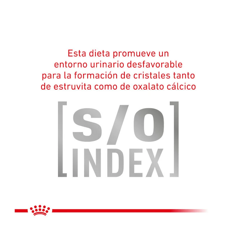 Royal Canin Veterinary Gastrointestinal Moderate Calorie Pienso Para Gatos 5 Royal Canin Veterinary Gastrointestinal Moderate Calorie Pienso Para Gatos - Imagen 5