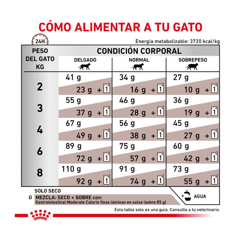 Royal Canin Veterinary Gastrointestinal Moderate Calorie Pienso Para Gatos 7 Royal Canin Veterinary Gastrointestinal Moderate Calorie Pienso Para Gatos - Imagen 7