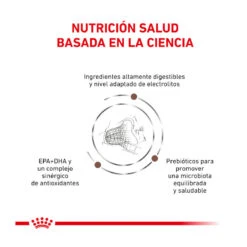 Royal Canin Veterinary Gastrointestinal Fibre Response Pienso Para Gatos -Productos Para Gatos gatos rc veterinary diet response ROY492028 3