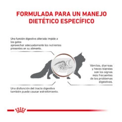 Royal Canin Veterinary Gastrointestinal Fibre Response Pienso Para Gatos -Productos Para Gatos gatos rc veterinary diet response ROY492028 4