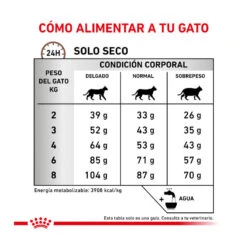 Royal Canin Veterinary Gastrointestinal Fibre Response Pienso Para Gatos -Productos Para Gatos gatos rc veterinary diet response ROY492028 7