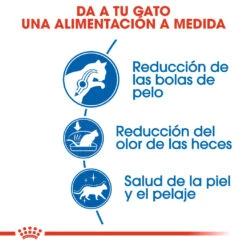 ROYAL CANIN Indoor Long Hair 35 Pienso Para Gato Adulto De Interior Pelo Largo -Productos Para Gatos indoor long hair 3