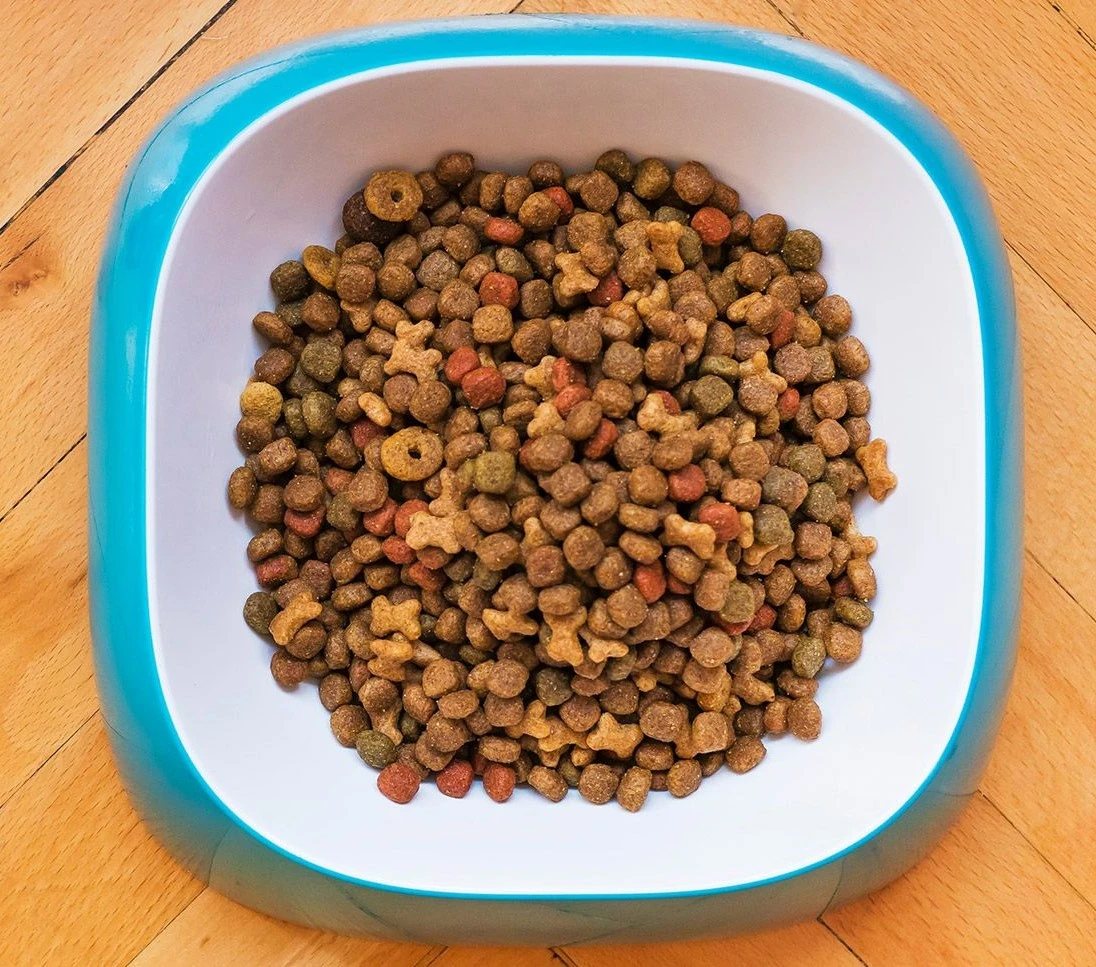 Adult Salmon Y Atun 2 Adult Salmon Y Atun - Imagen 2