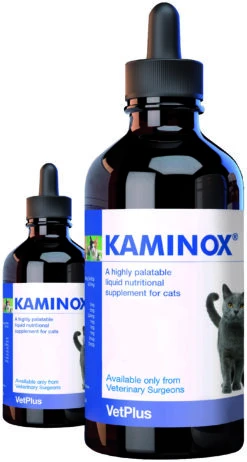 Kaminox Para La Insuficiencia Renal En Gato
