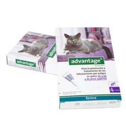 Advantage Pipetas Para Gatos +4 Kg (80ml) 6 Advantage Pipetas Para Gatos +4 Kg (80ml) -Productos Para Gatos mas4kg 623224aac33e8