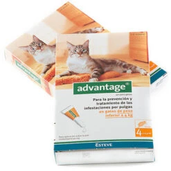 Advantage Pipetas Para Gatos -4 Kg (40ml) 7 Advantage Pipetas Para Gatos -4 Kg (40ml) -Productos Para Gatos menos4kg 6232243c6e716