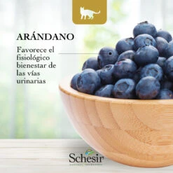 Schesir Natural Selection Kitten Pavo Grain Free -Productos Para Gatos natural selection kitten pavo grain free 7