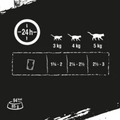 Crave 16 X 85 G En Bolsitas Para Gatos - Pack Mixto -Productos Para Gatos new project 2022 09 08t104641 864 4