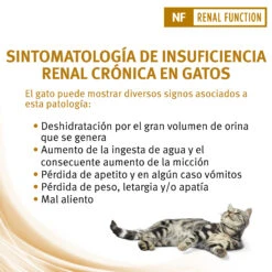 NF Renal Function ST/OX -Productos Para Gatos nf renal function st ox 5