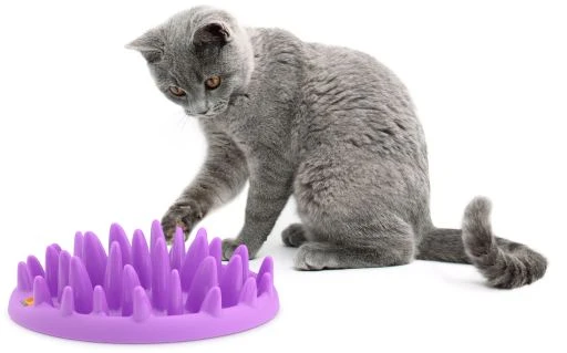 Northmate Catch 1 Northmate Catch