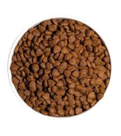 Pienso Para Gatos Classic Kitten -Productos Para Gatos ow classic kitten platoadl 6389eea8e5559